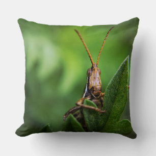 Coussin de 40,5 cm x 40,5