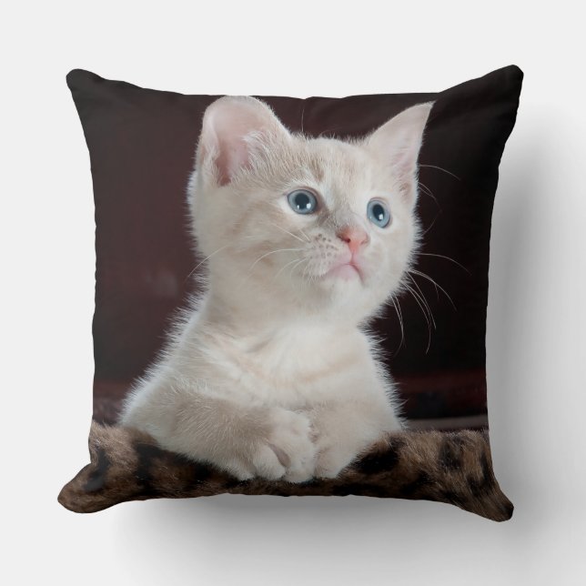 Coussin de 40,5 cm x 40,5 (Recto)