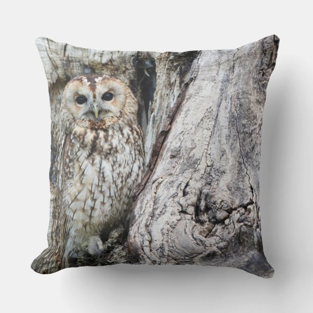 Coussin de 40,5 cm x 40,5 (Recto)