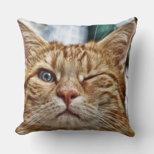 Coussin de 40,5 cm x 40,5