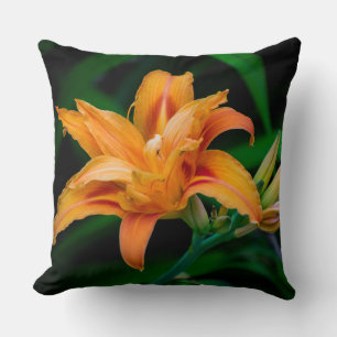Coussin de 40,5 cm x 40,5