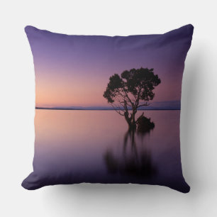 Coussin de 40,5 cm x 40,5