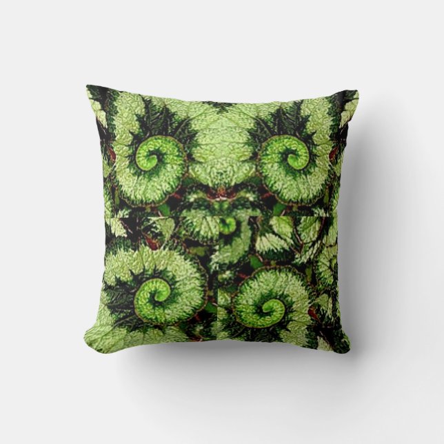 Coussin de bégonia de feuille d'escargot par (Recto)