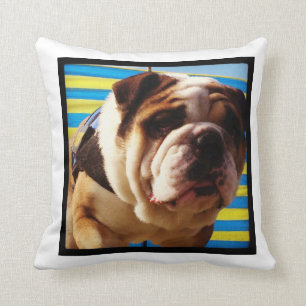 Coussin de bouledogue