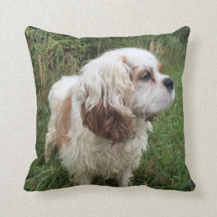 Coussin de Branson