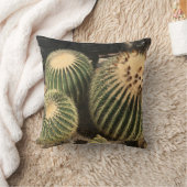 Coussin de cactus (Couverture)