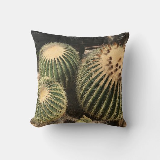Coussin de cactus (Recto)