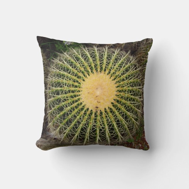 Coussin de cactus (Recto)