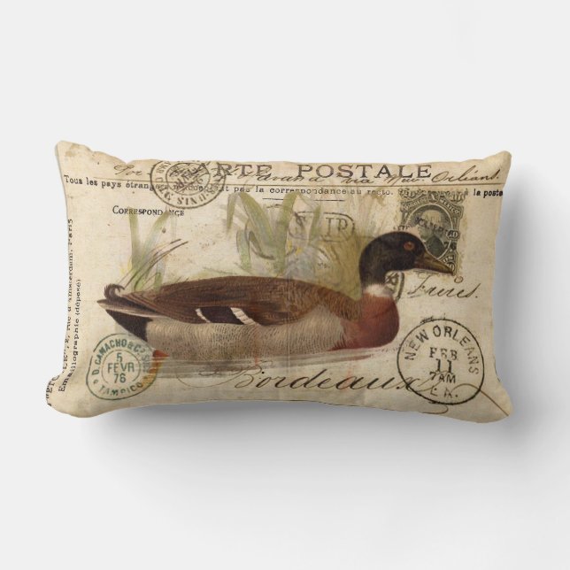 Coussin de canard (Recto)