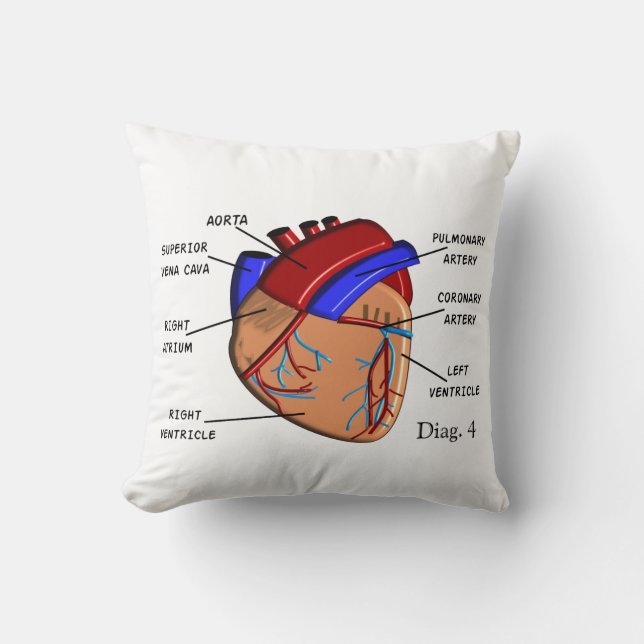 Coussin de cardiologie "le coeur" Diag. 4 (Recto)