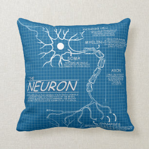 coussin de cerveau