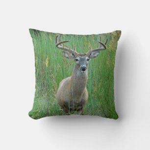 Coussin de champ vert de cerf blanc