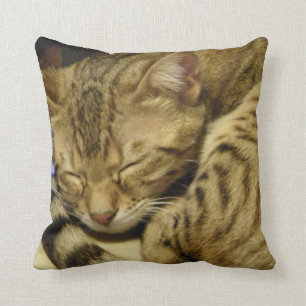 Coussin de chat du Bengale