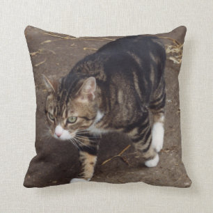 coussin de chat tigré