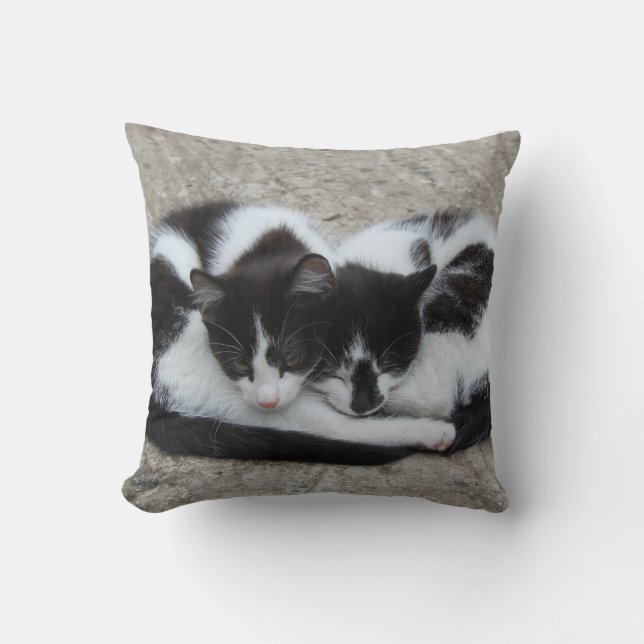 Coussin de chats d'amour (Recto)