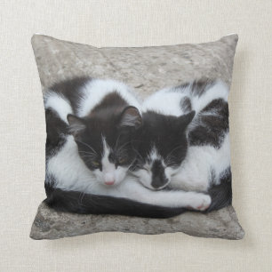 Coussin de chats d'amour