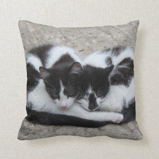 Coussin de chats d'amour