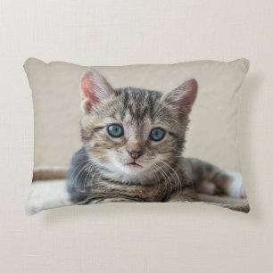 Coussin de chats mignons