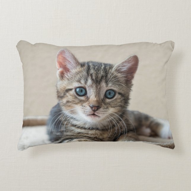Coussin de chats mignons (Devant)
