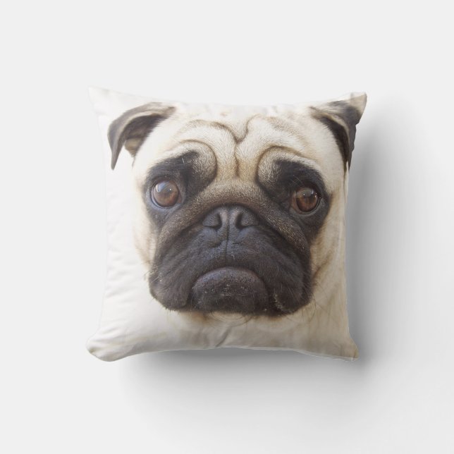 Coussin de chien de carlin (Recto)