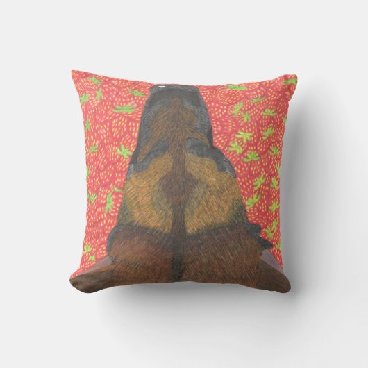 Coussin de chien et de fraise (Recto)