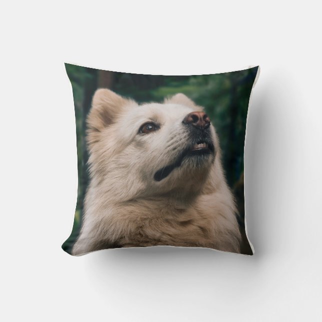 Coussin de chien mignon et duveteux, Maison pour a (Recto)