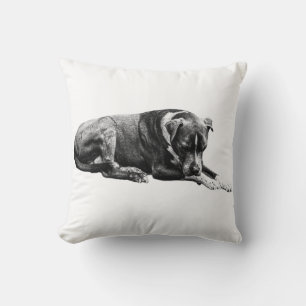 Coussin de chien salon ombragé