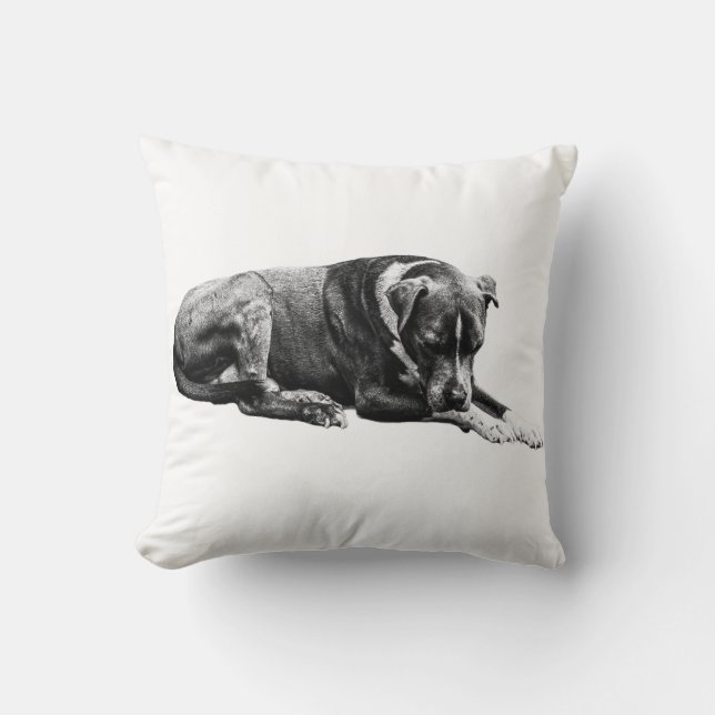 Coussin de chien salon ombragé (Recto)