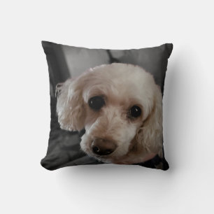 Coussin de chiot