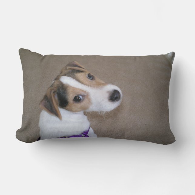 Coussin de chiot de Jack Russell (Recto)