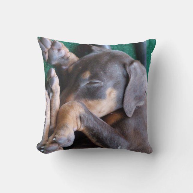 Coussin de chiot de Pinscher de dobermann (Recto)
