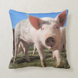 Coussin de cochon mou