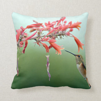 Coussin de colibri