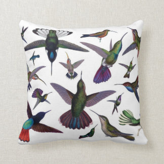 Coussin de colibris