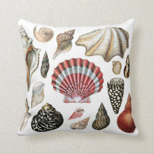 Coussin de COQUILLAGE