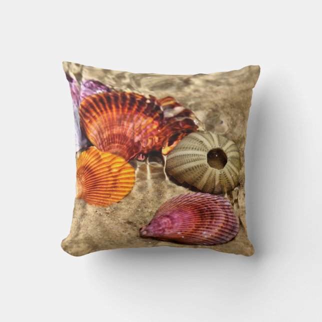 Coussin de coquillages (Recto)