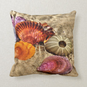Coussin de coquillages