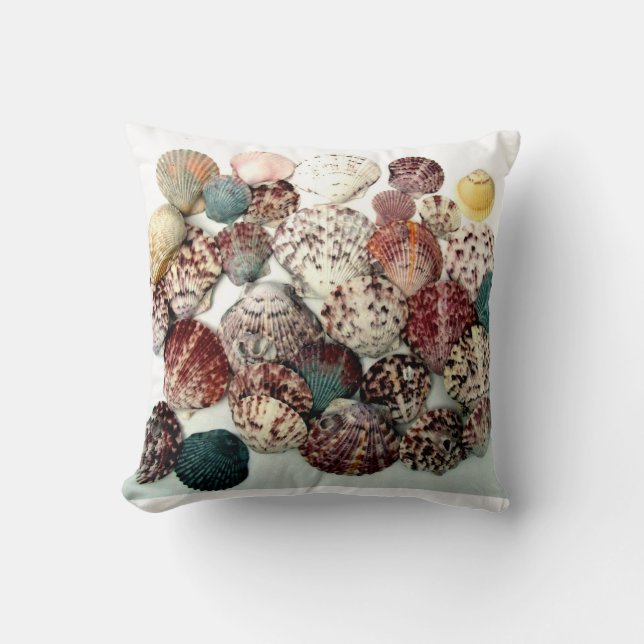 Coussin de coquillages (Recto)