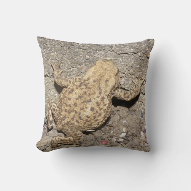 Coussin de crapaud mignon (Recto)