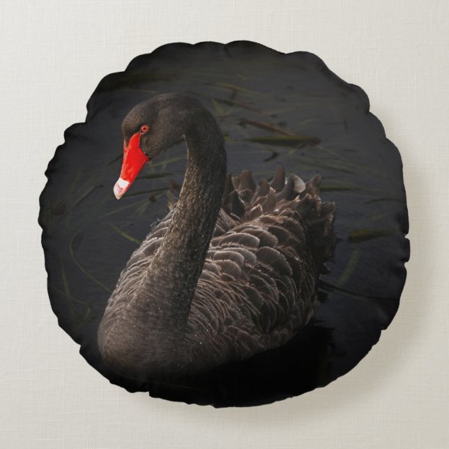 Coussin de cygne noir rond (Devant)