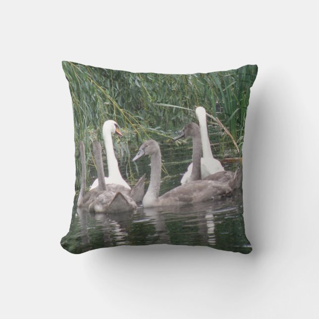 Coussin de cygnes et de cygnets (Recto)