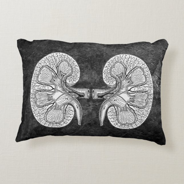 Coussin DE DESSIN KIDNEY 2 (Dos)