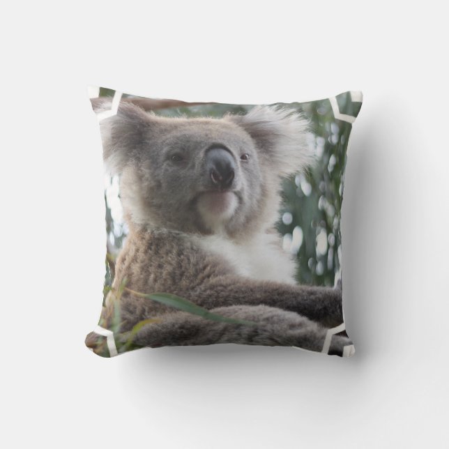 Coussin de faits d'ours de koala (Recto)
