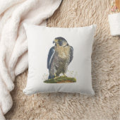 Coussin de Faucon pèlerin (Couverture)