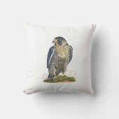 Coussin de Faucon pèlerin (Recto)