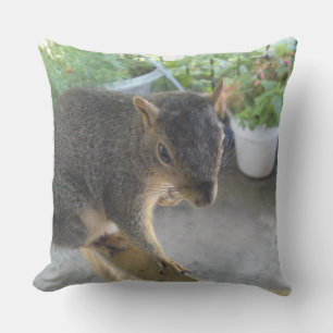 Coussin de fermeture d'écureuil