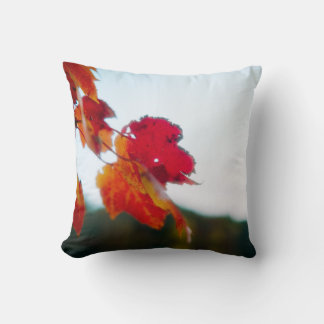 Coussin de feuillage d'automne