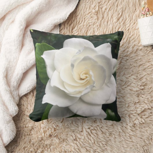 Coussin de fleur blanche (Couverture)