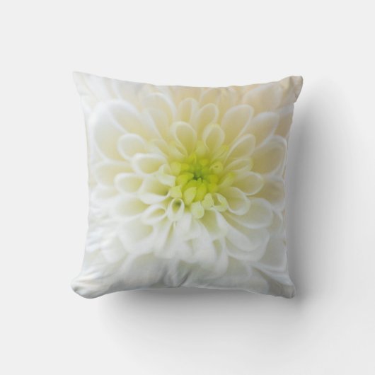 Coussin de fleurs blanches (Recto)
