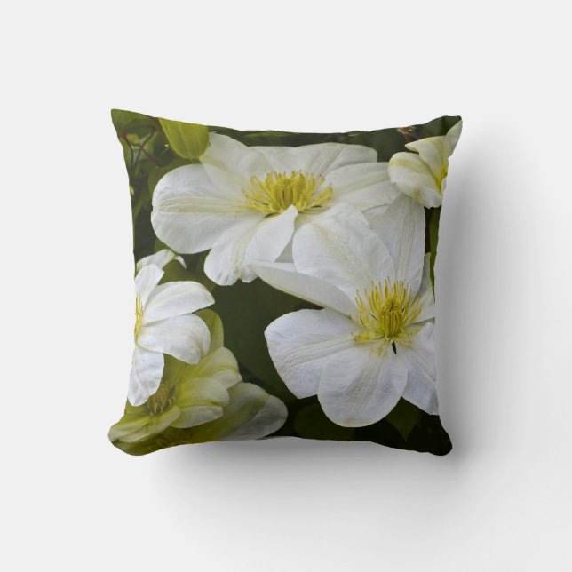 Coussin de fleurs blanches frappantes (Recto)